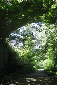 Center for Wholeness of Being :: Denise K