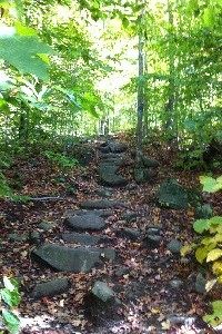 hungry mountain with greeen trees and path